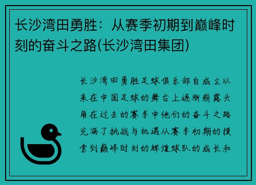 长沙湾田勇胜:从赛季初期到巅峰时刻的奋斗之路(长沙湾田集团)