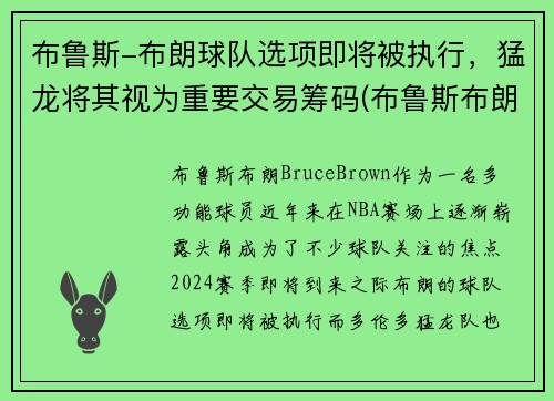 布鲁斯-布朗球队选项即将被执行,猛龙将其视为重要交易筹码(布鲁斯布朗潜力)