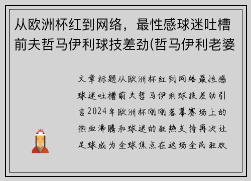 从欧洲杯红到网络，最性感球迷吐槽前夫哲马伊利球技差劲(哲马伊利老婆)