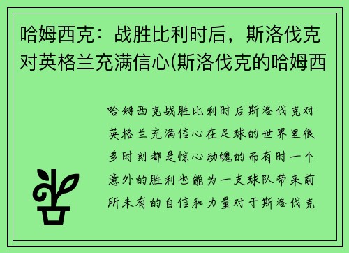 哈姆西克：战胜比利时后，斯洛伐克对英格兰充满信心(斯洛伐克的哈姆西克)